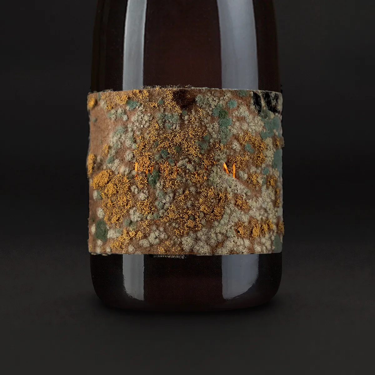Flasche, deren Etikett dicht mit gelbem, grünem und weißem Schimmel bewachsen ist