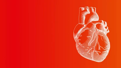 Werbeagentur Regensburg Referenz Schwesternschaft München 