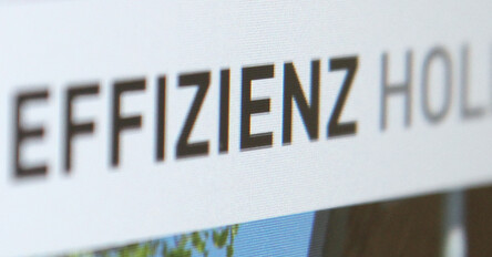 EFFIZIENZ HOLDING AG. Die Bauträger mit Understatement.